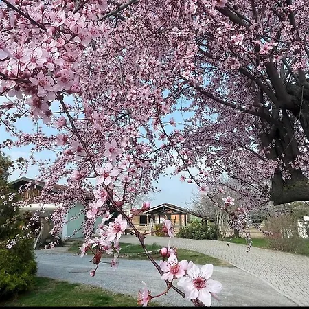 B&B Cm Ranch-3